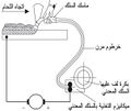 تصغير للنسخة بتاريخ 21:40، 22 يناير 2011