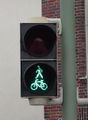 Combined Pedestrian and Bicycle Display
