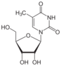 Chemical structure of 5-methyluridine