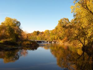 Warrenville Grove Forest Preserve on the West Branch of the DuPage River