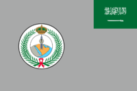 Flag of the Royal Saudi Strategic Missile Force.png