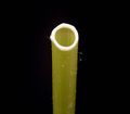 The stem of the dandelion (Taraxacum, Cichorioidea) contains a bitter latex.