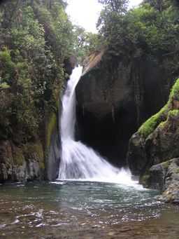 Cataract on the Rio Savegre.jpg