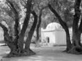الحديقة العمومية محمد الخامس (سيدي يعقوب) في حوالي 1925، كانت تسمى أنذاك "Bois sacré"