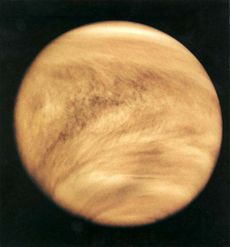 Cloud structure in the Venusian atmosphere in 1979, revealed by observations in the ultraviolet band by Pioneer Venus Orbiter