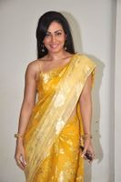 Indian actress Pakhi Hegde wearing a string-sleeve choli and sari