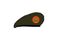 Egyptian Army Brigadier Beret.png