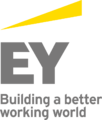 The EY logo from 2013–2018