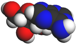 Adenosine spacefilling.png