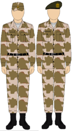 Egyptian Army Thunderbolt camouflage uniform