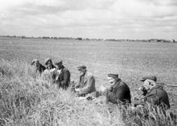 مزارعون يأخذون استراحة الغداءفي هولندا، ح. 1955.
