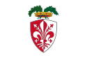 علم Province of Florence