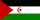 Flag of Western Sahara.svg