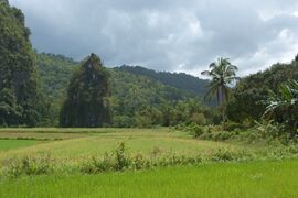 Limestone rock formations, Puerto Princesa Subterranean Park