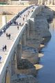 Roman bridge from Calahorra Tower - Córdoba.JPG