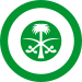 Roundel of the Royal Saudi Air Force.svg