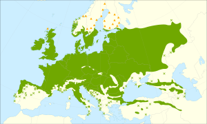 Quercus robur range.svg