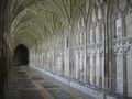 South cloister of Gloucester Cathedral.jpg