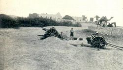 HAC guns at Sheik Othman.jpg