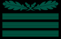 Hauptmann German Waffen-SS (1935 to 1945)