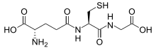 Glutathione-skeletal.svg