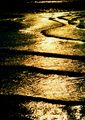 The tidal flat in Japan. Twilight of the Kaburasaki（蕪崎） seashore.