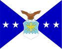 Flag of the Vice Chief of Staff of the Air Force