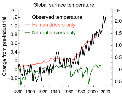 The graph from 1880 to 2020 shows a natural drivers exhibiting random fluctuations of about 0.3 degrees Celsius, and human drivers steadily increasing by 0.2 degrees over 100 years to 1980, then steeply increasing by 0.6 degrees more over the past 40 years.