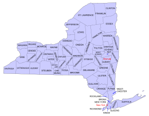 New York Counties.svg