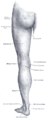 Back of left lower extremity.