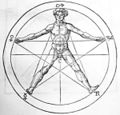 Man inscribed in a pentagram, from Heinrich Cornelius Agrippa's De occulta philosophia libri tres. The five signs at the pentagram's vertices are astrological.