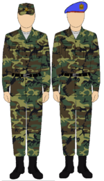 Egyptian Republican Guard camouflage uniform