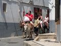 Donkeys used for carrying tourists up the Acropolis of Lindos