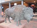 Bison monument in downtown Golden, كولورادو