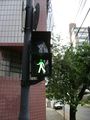 Typical pedestrian crossing light