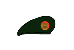 Thunderbolt brigadier Beret - Egyptian Army.png