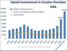 Opioid involvement in cocaine overdose deaths. The yellow line (the top line in later years) represents the number of yearly cocaine deaths that also involved opioids.[2]