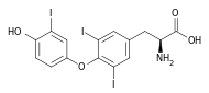 Triiodothyronine.svg