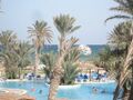 Ibarostar Safira Palms - panoramio.jpg