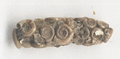 Case of Limnephilus flavicornis made of snail shells