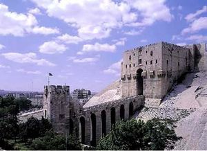 Aleppo-110507 7.jpg