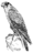 Peregrine falcon (PSF).png