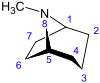 Tropane numbered.svg