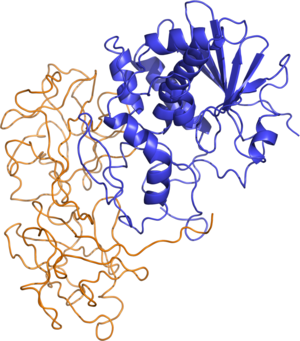 Ricin structure.png