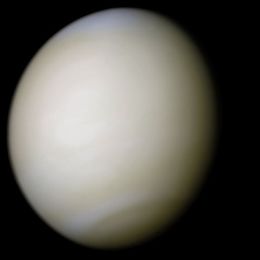 Venus in approximately true colour, a nearly uniform pale cream, although the image has been processed to bring out details.[1] The planet's disc is about three-quarters illuminated. Almost no variation or detail can be seen in the clouds.