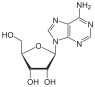البنية الكيميائية للأدينوزين