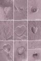 Heart-shaped features on Mars (MGS, MOC, February 14, 2004).