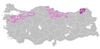 Georgian-speaking population