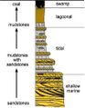A regressive facies shown on a stratigraphic column