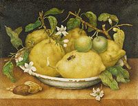 Giovanna Garzoni (1600-1670), Still Life with Bowl of Citrons (Tempera on vellum), (1640), Getty Museum, Pacific Palisades, Los Angeles, California